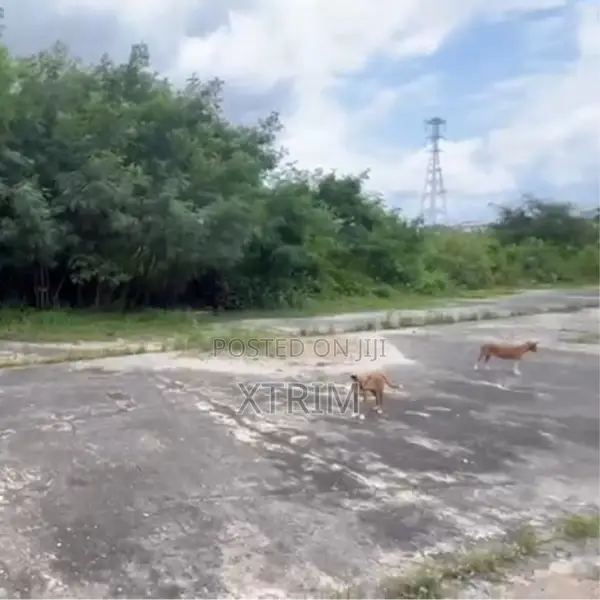 17,000sqmt Waterfront Land Off Admiralty Way