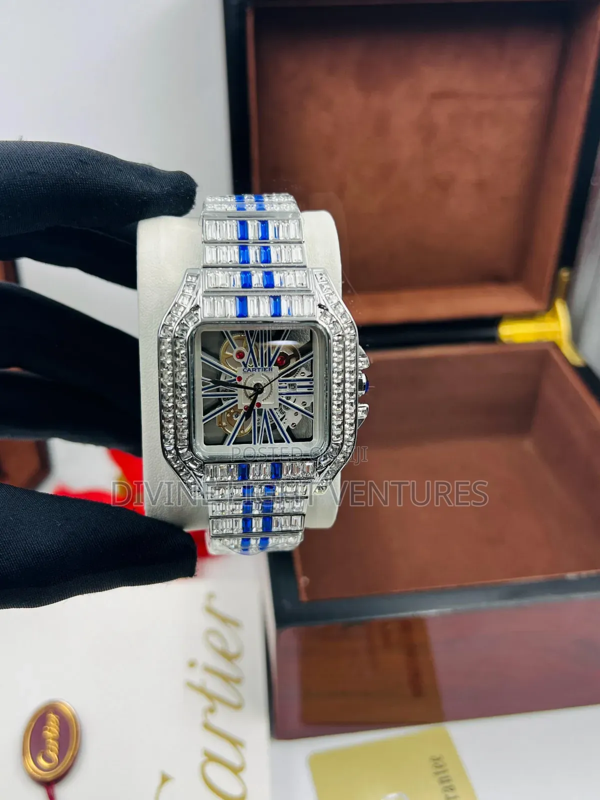 Cartier Ice Skeleton Dial