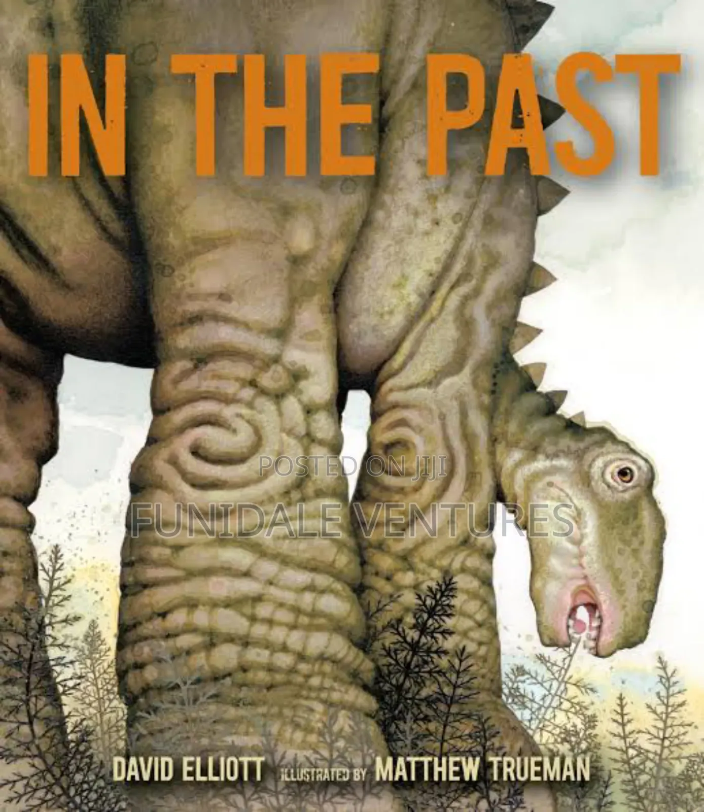In the Past - Kids Book on Dinosaurs