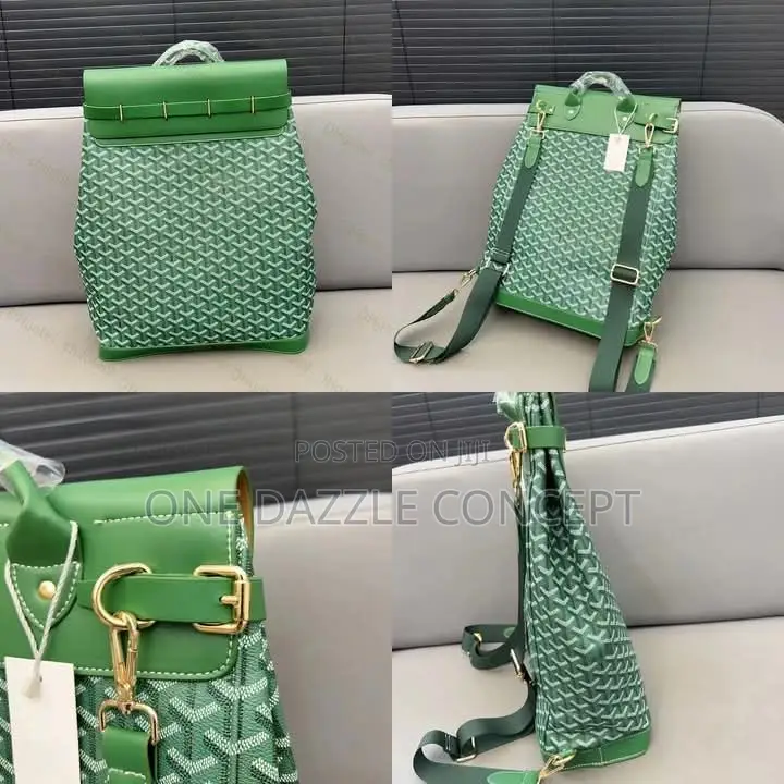 Goyard Luxury Back Bag