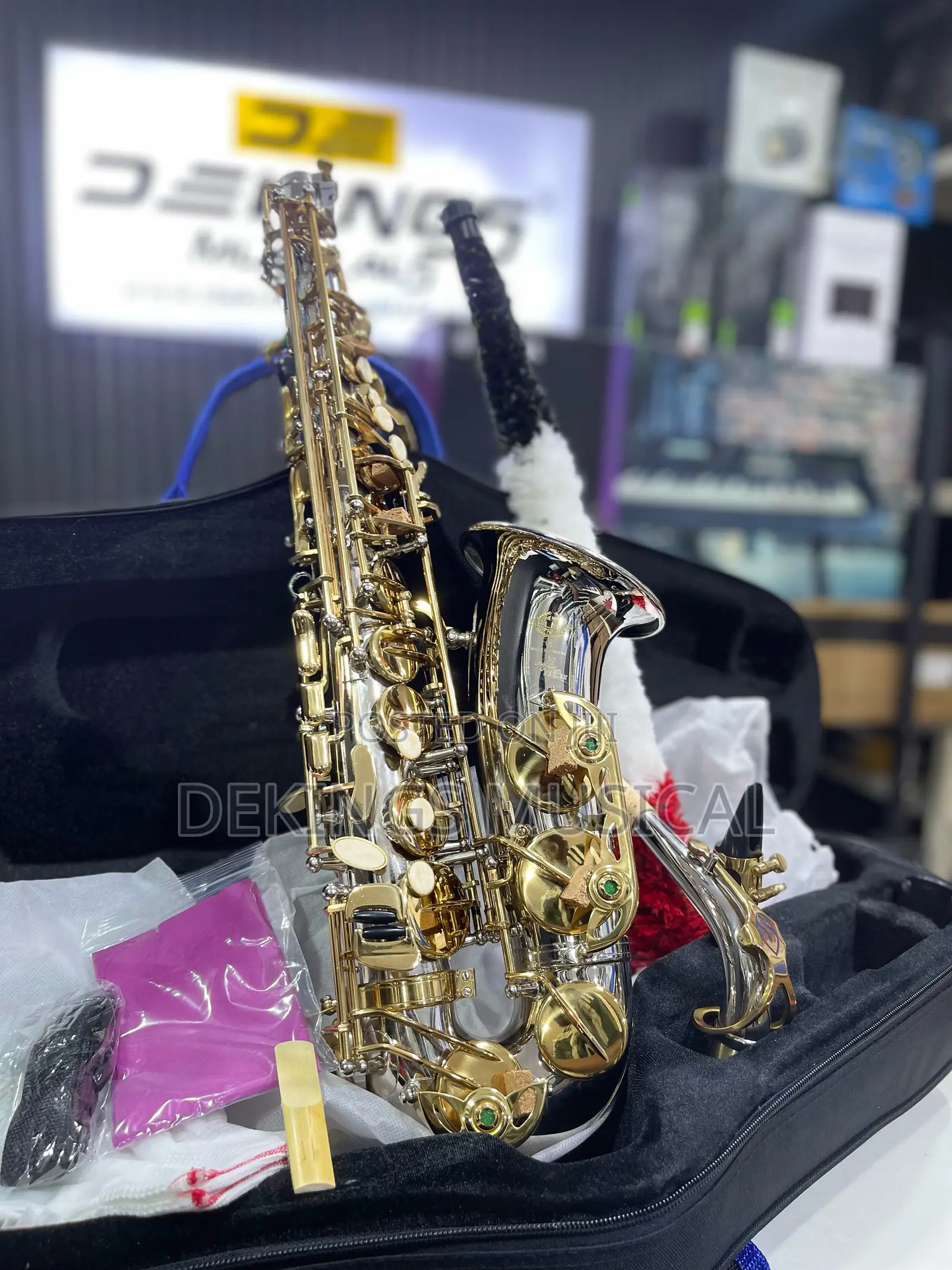 Henri Selmer Paris Alto Saxophone Gold-silver