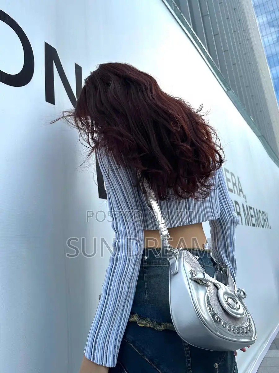 Lady Handbag Woman Bag Hobo Bag