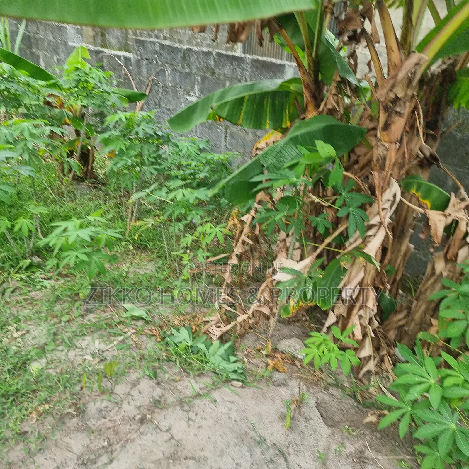 Land for Sale at Abijo