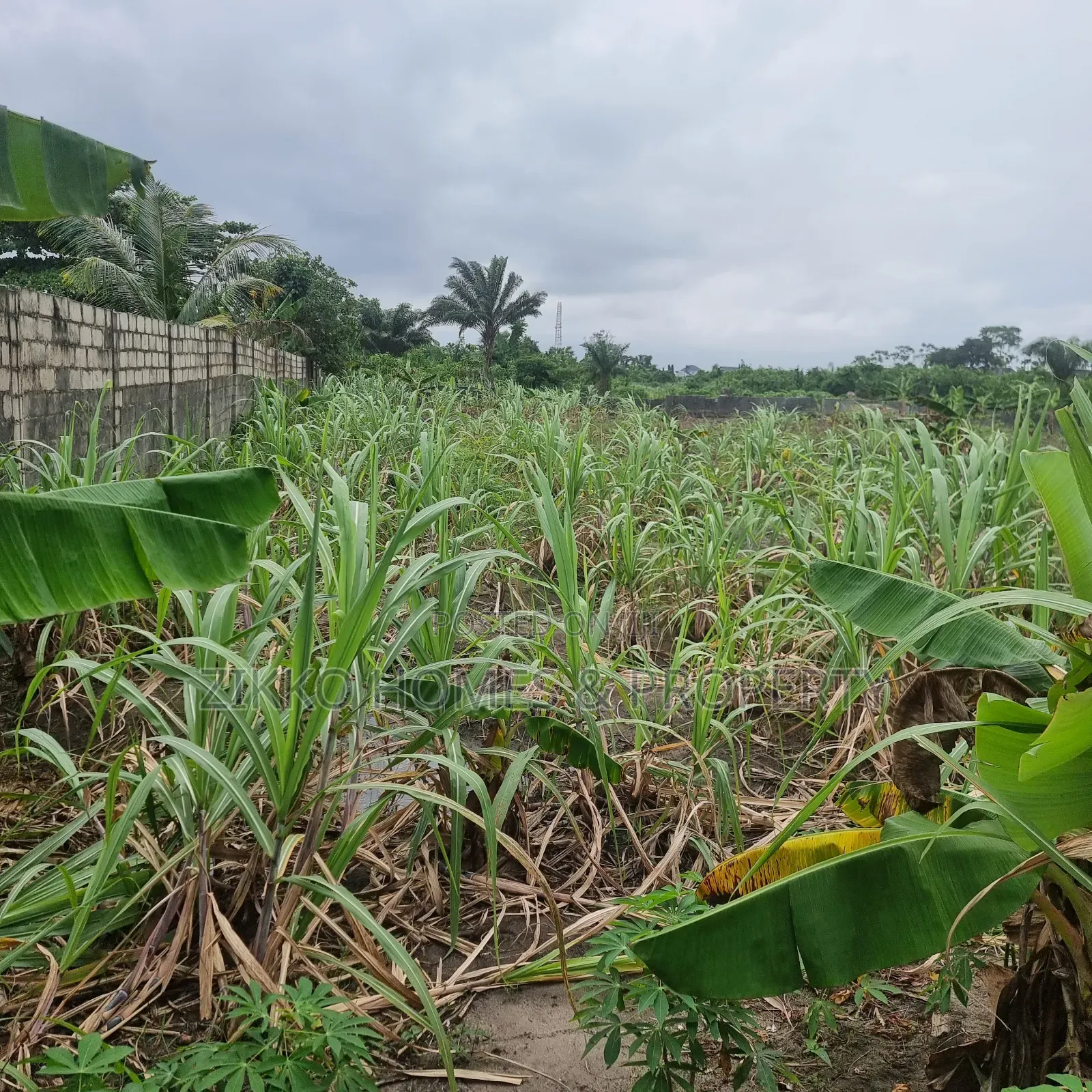 Land for Sale at Abijo