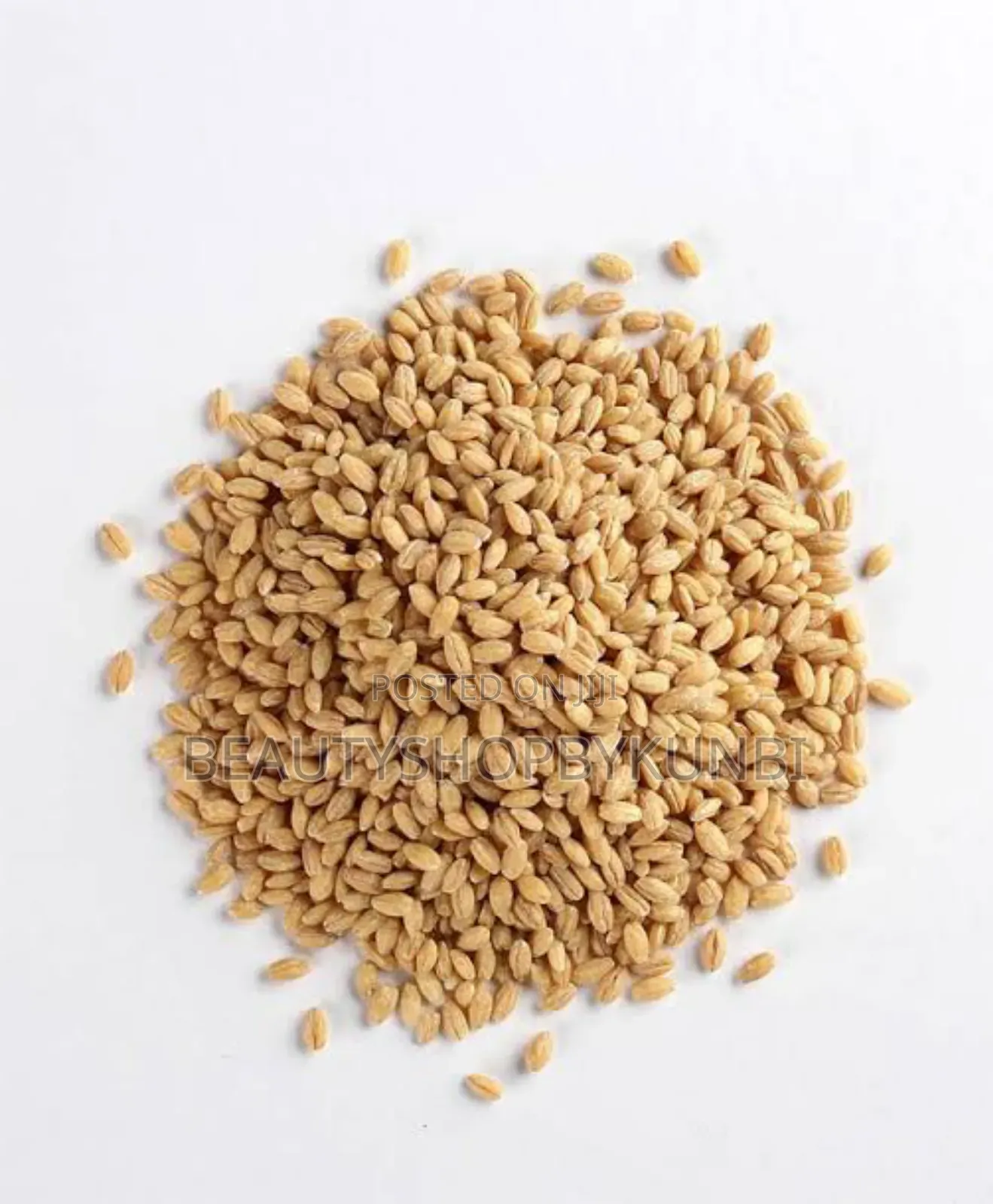 Pearled Barley- 454g(1lb)