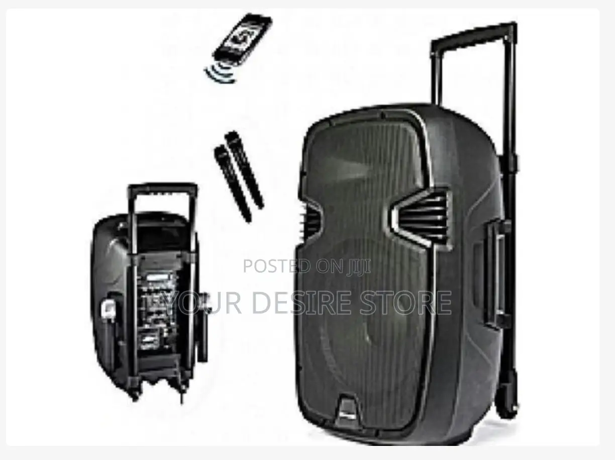 8'' Rechargeable Public Address System, 2 Mic, Fm