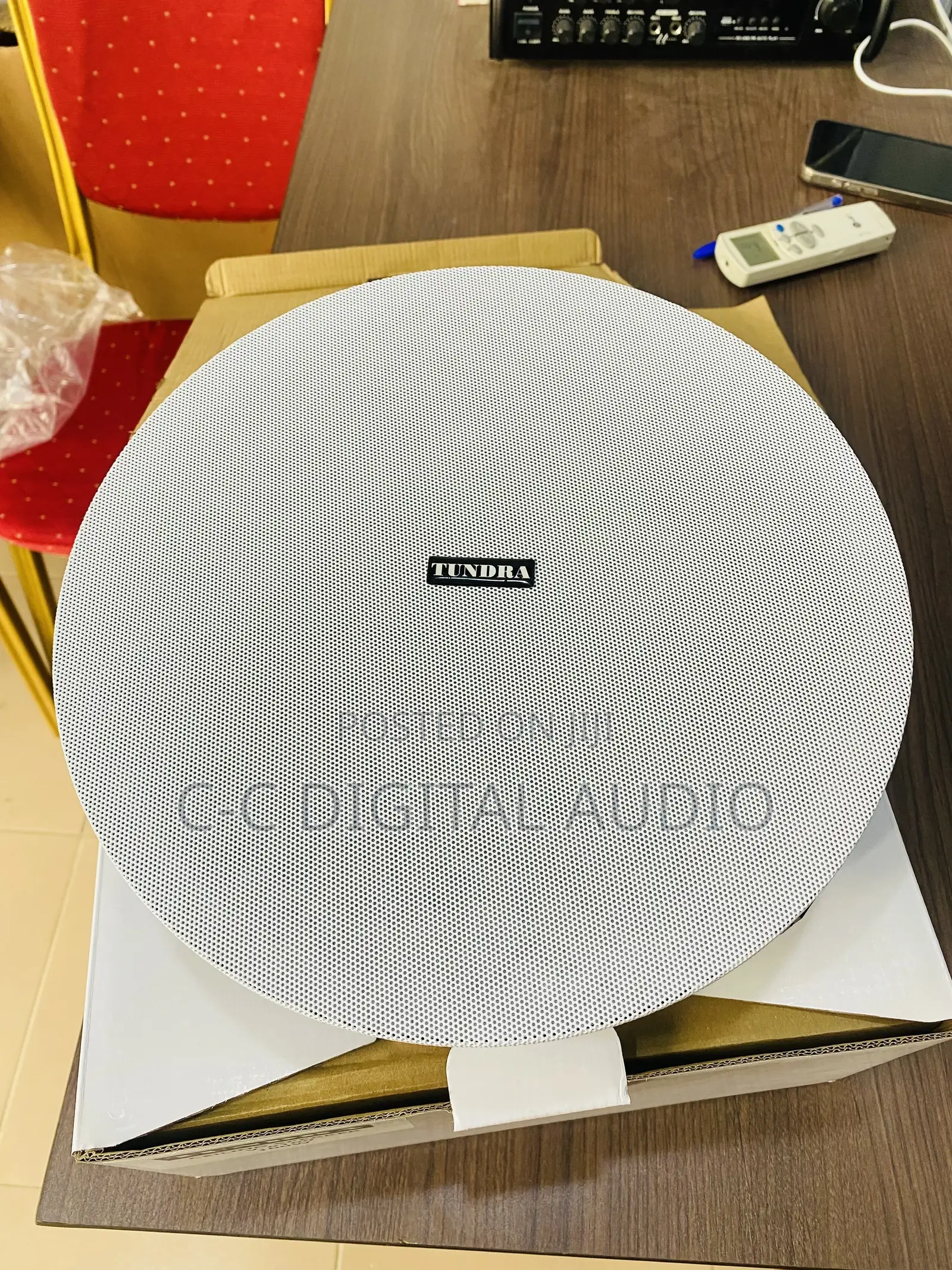 Tundra Passive Ceiling Speaker