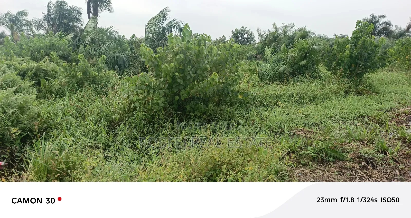 Insane Distress Sale Offer 3 Acres Land