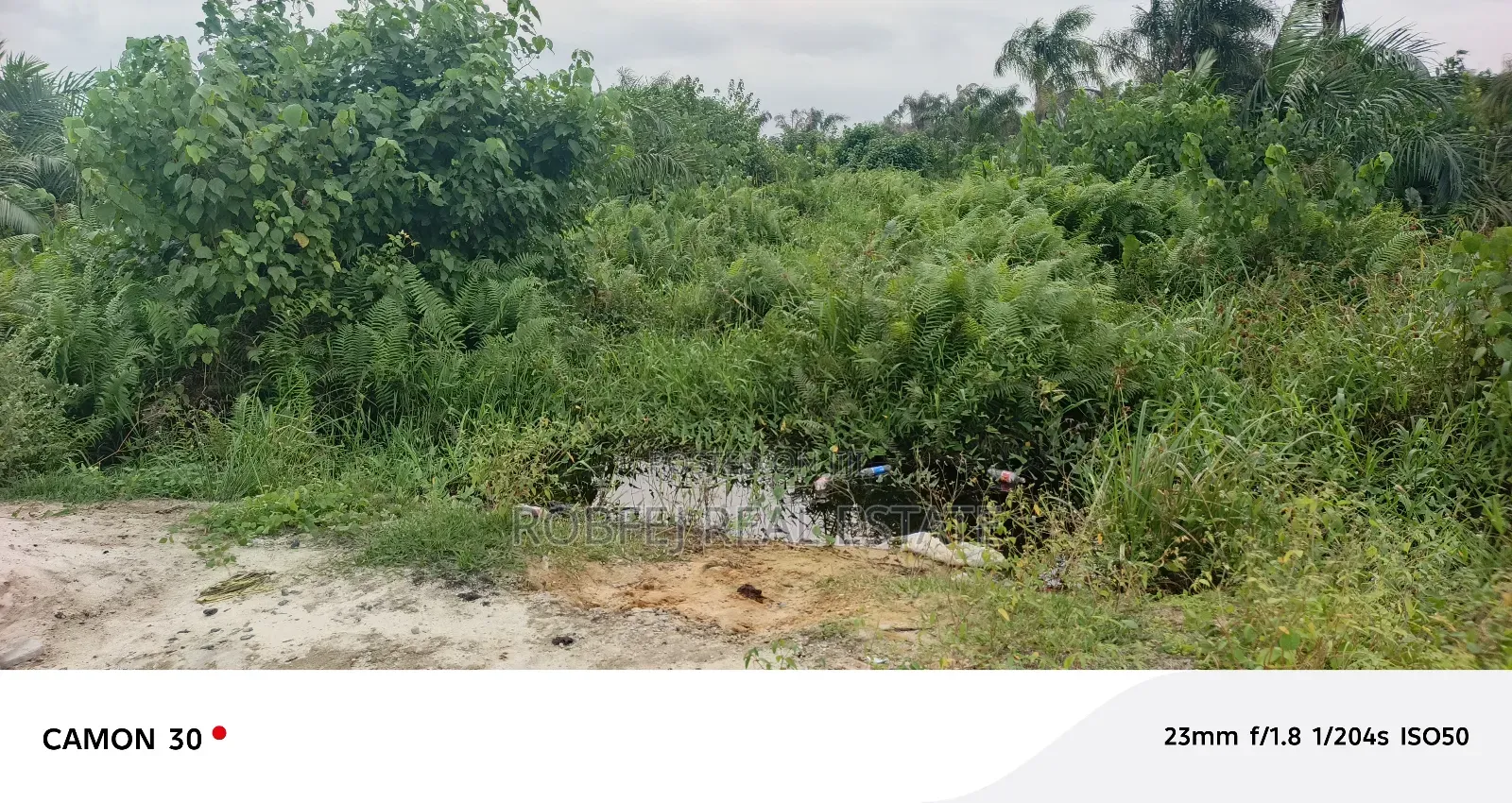 Insane Distress Sale Offer 3 Acres Land