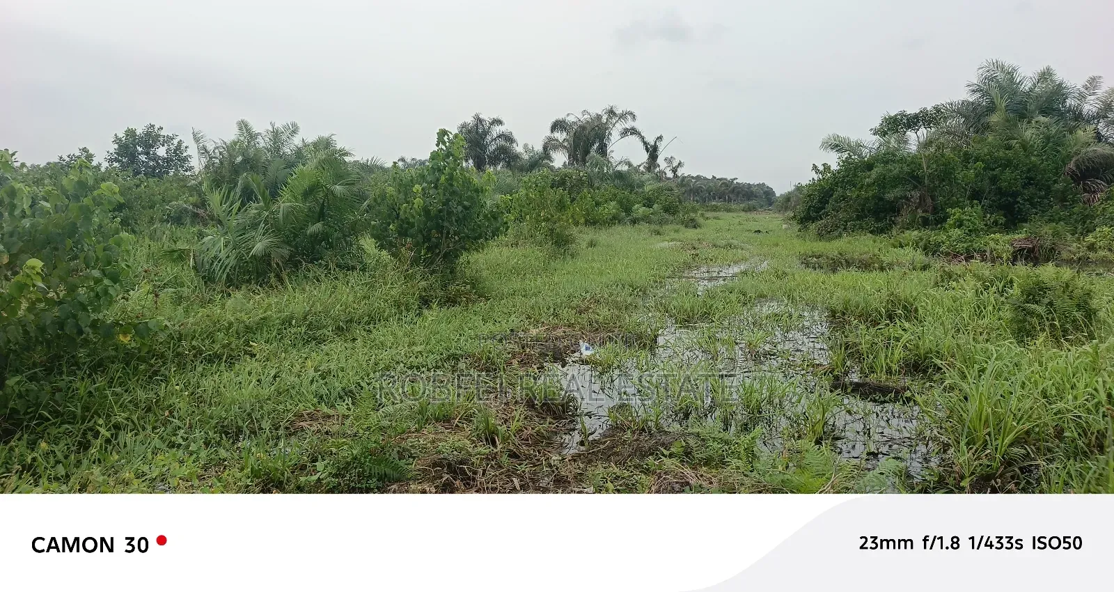 Insane Distress Sale Offer 3 Acres Land