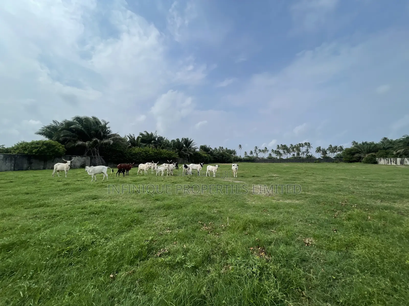 2 Acres of Fenced Land in Otolu, Eleko