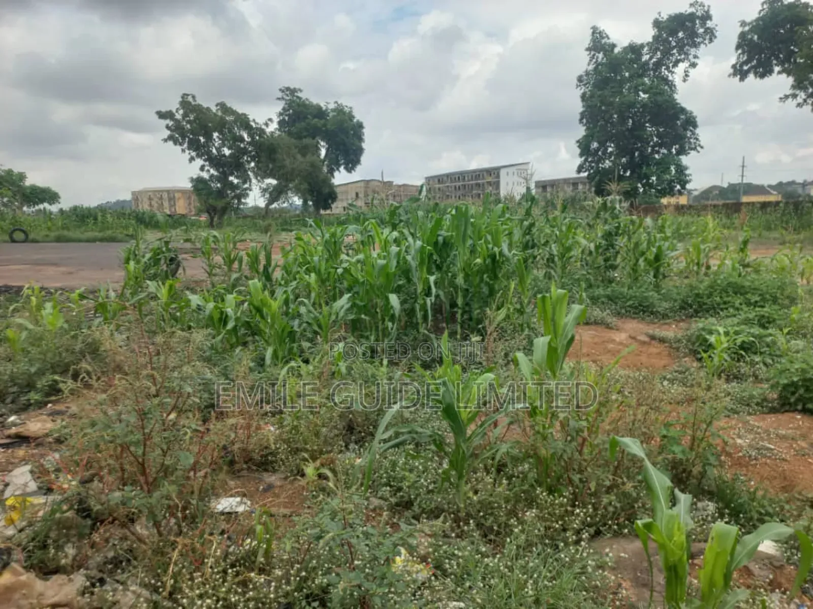 Industrial Plot Of Land For Sale In Idu Industrial