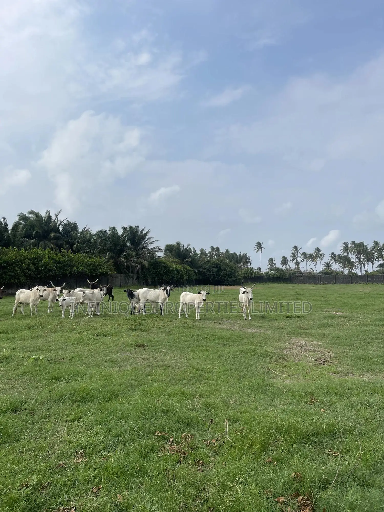 2 Acres of Fenced Land in Otolu, Eleko
