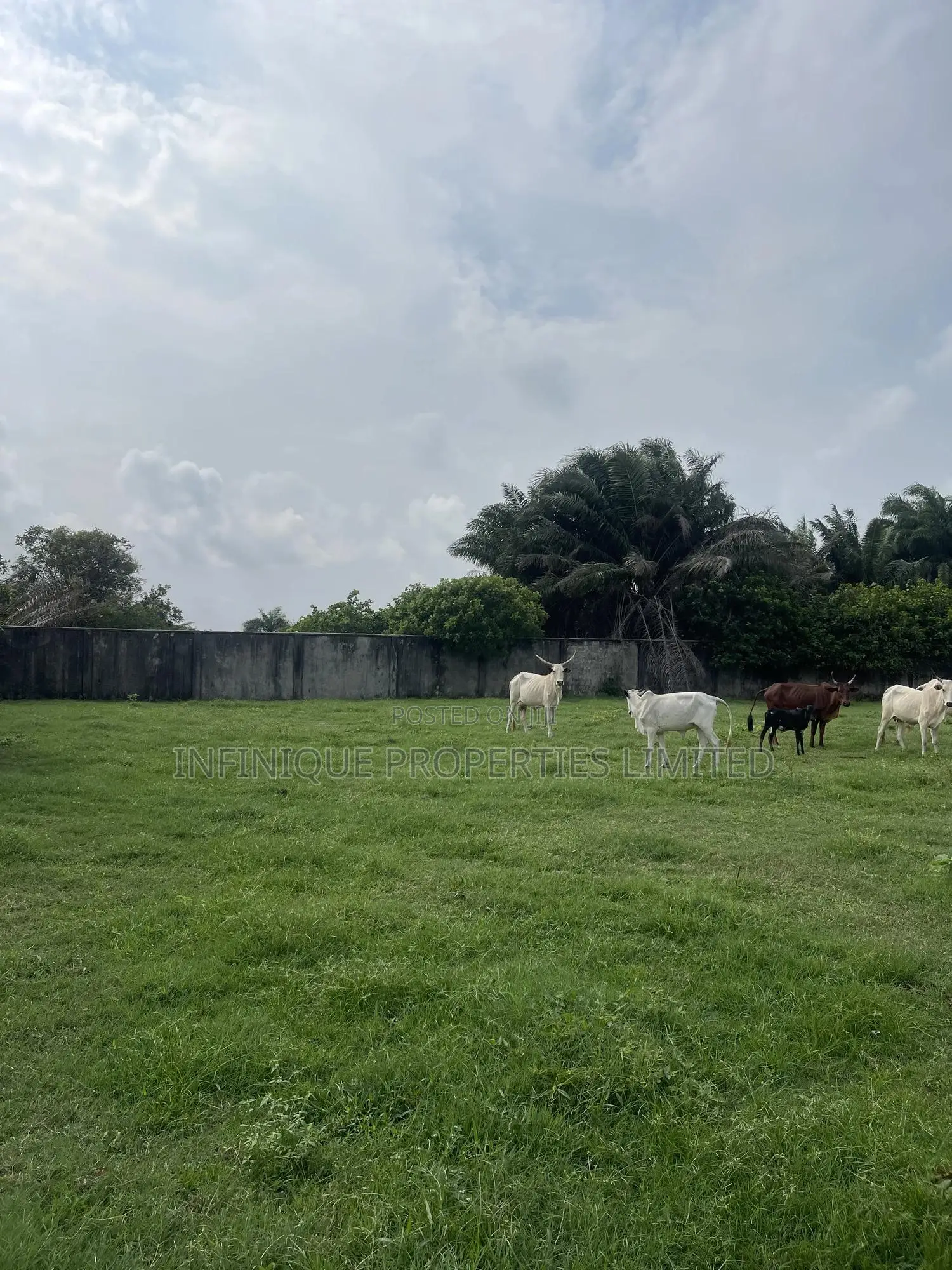2 Acres of Fenced Land in Otolu, Eleko