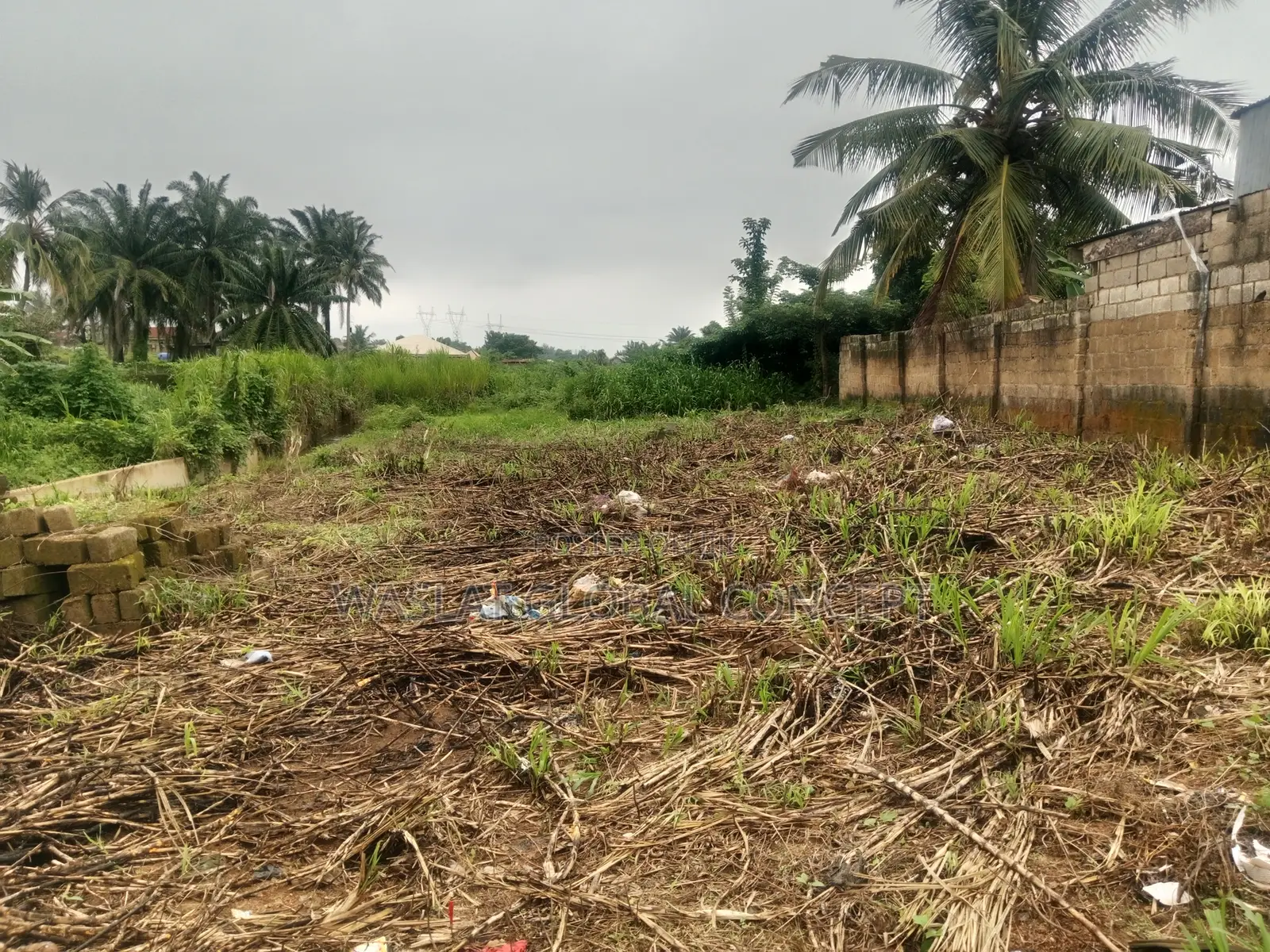 A Plot of Land Behind Roseful Int'l School, Osogbo