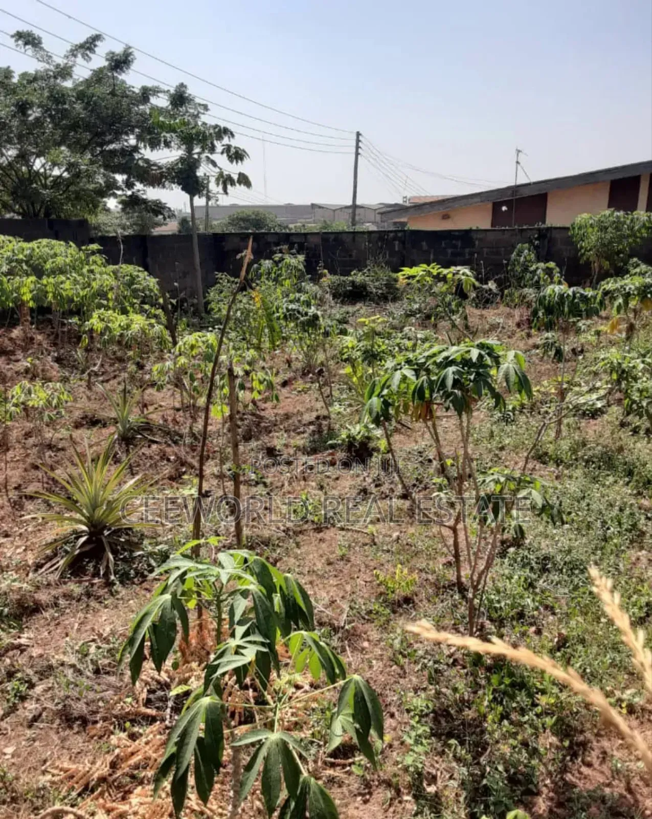 Standard 2 Plots of Land at Olubadan Estate, Iworoad Ib.