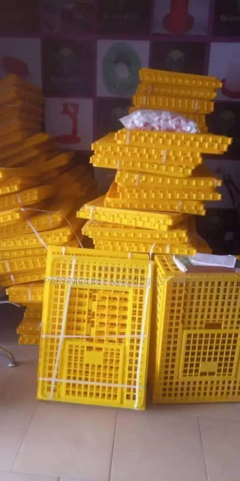 Bird (Chicken) Transport Crate