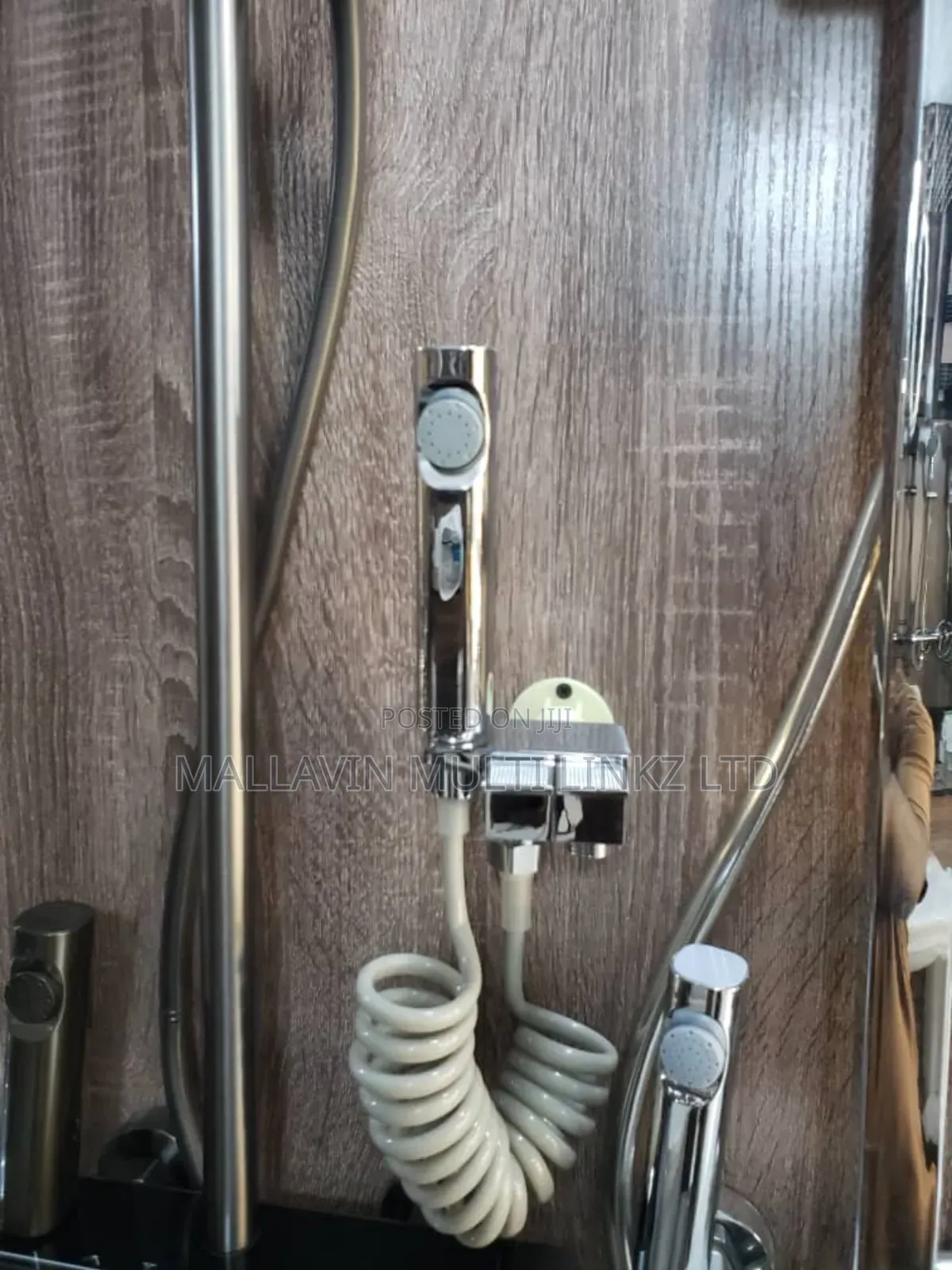 Exotic Bidet For Master Bedroom