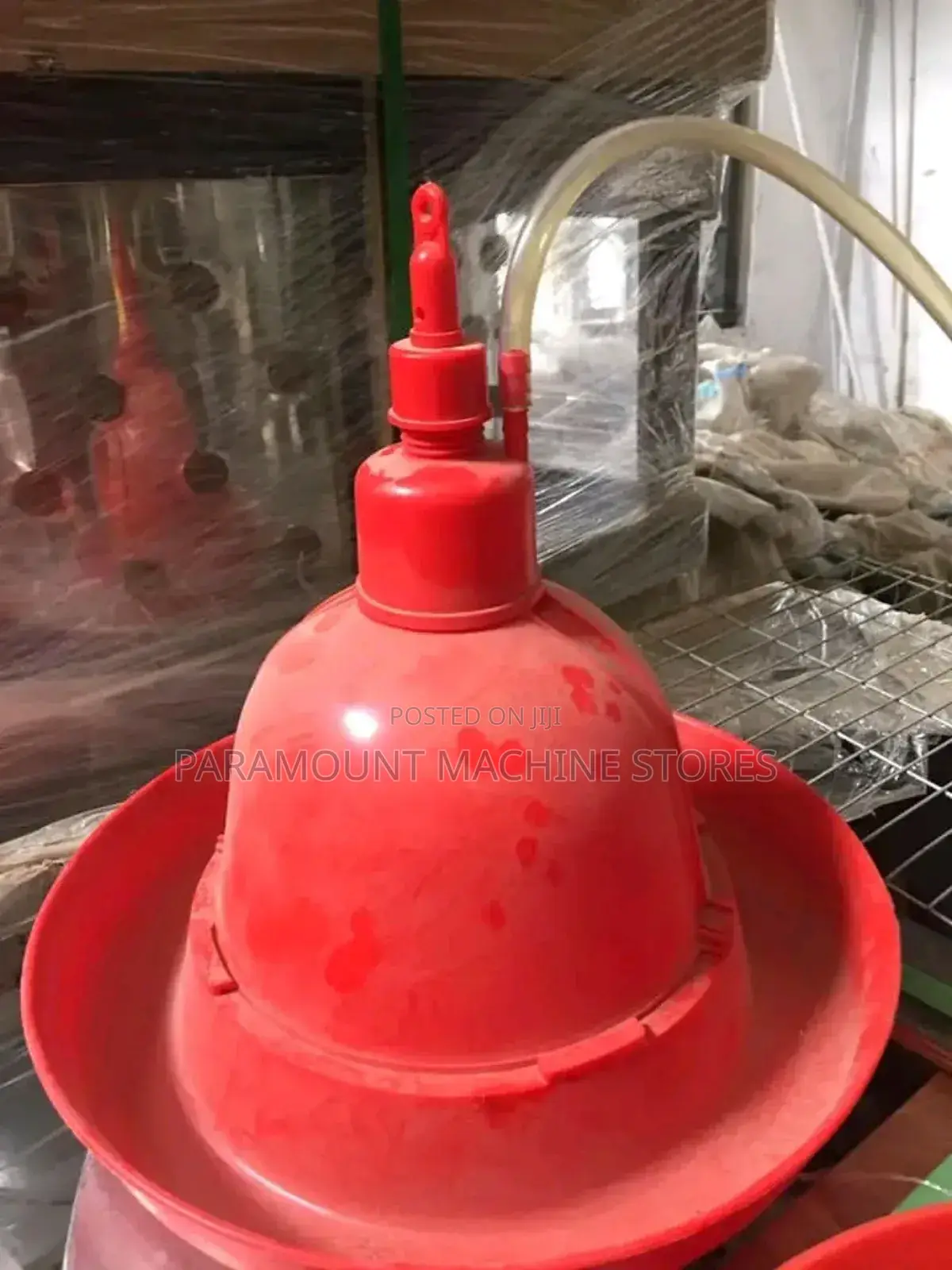 Adult Chicken Bell Drnker