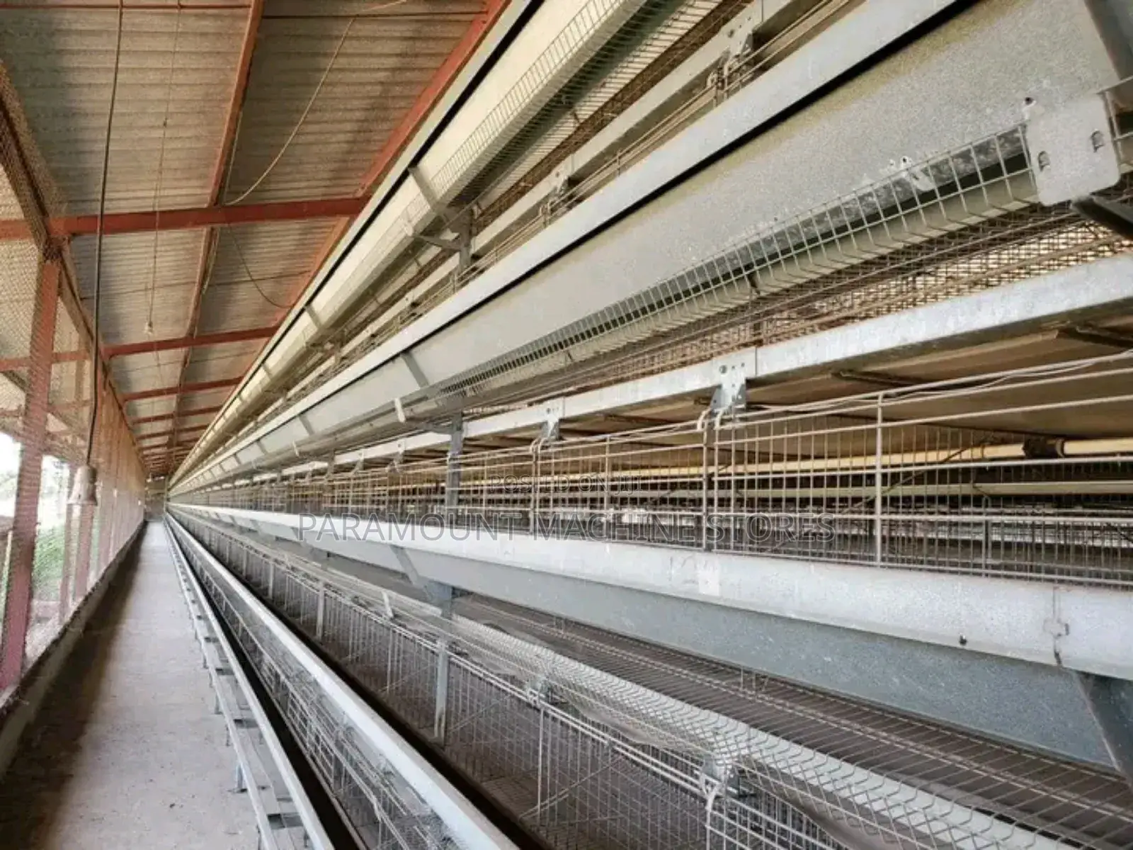 Poultry Cage
