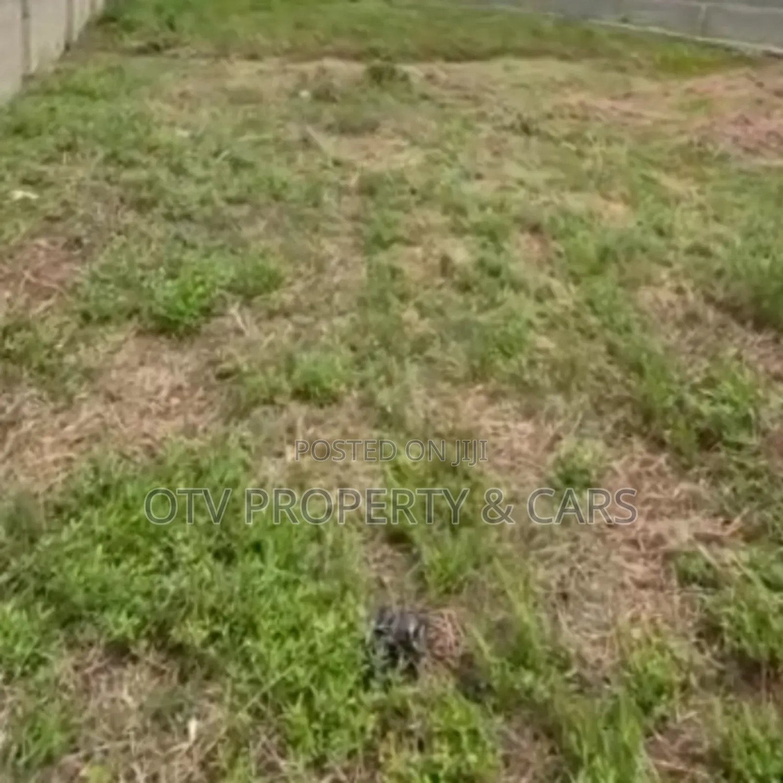 44000 Square Meter Of Land For Sale At Victoria Island