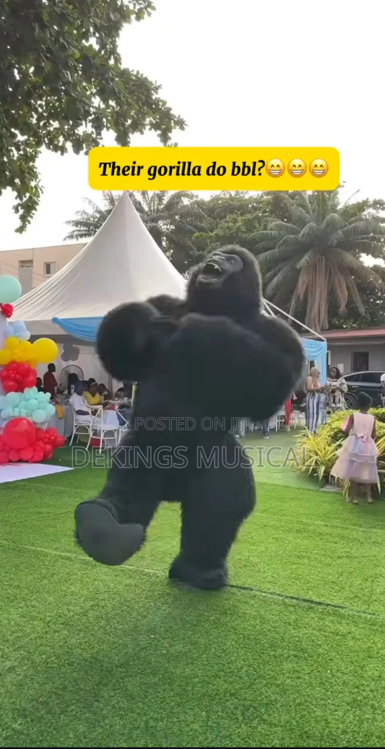 Gorilla Costume Mascot