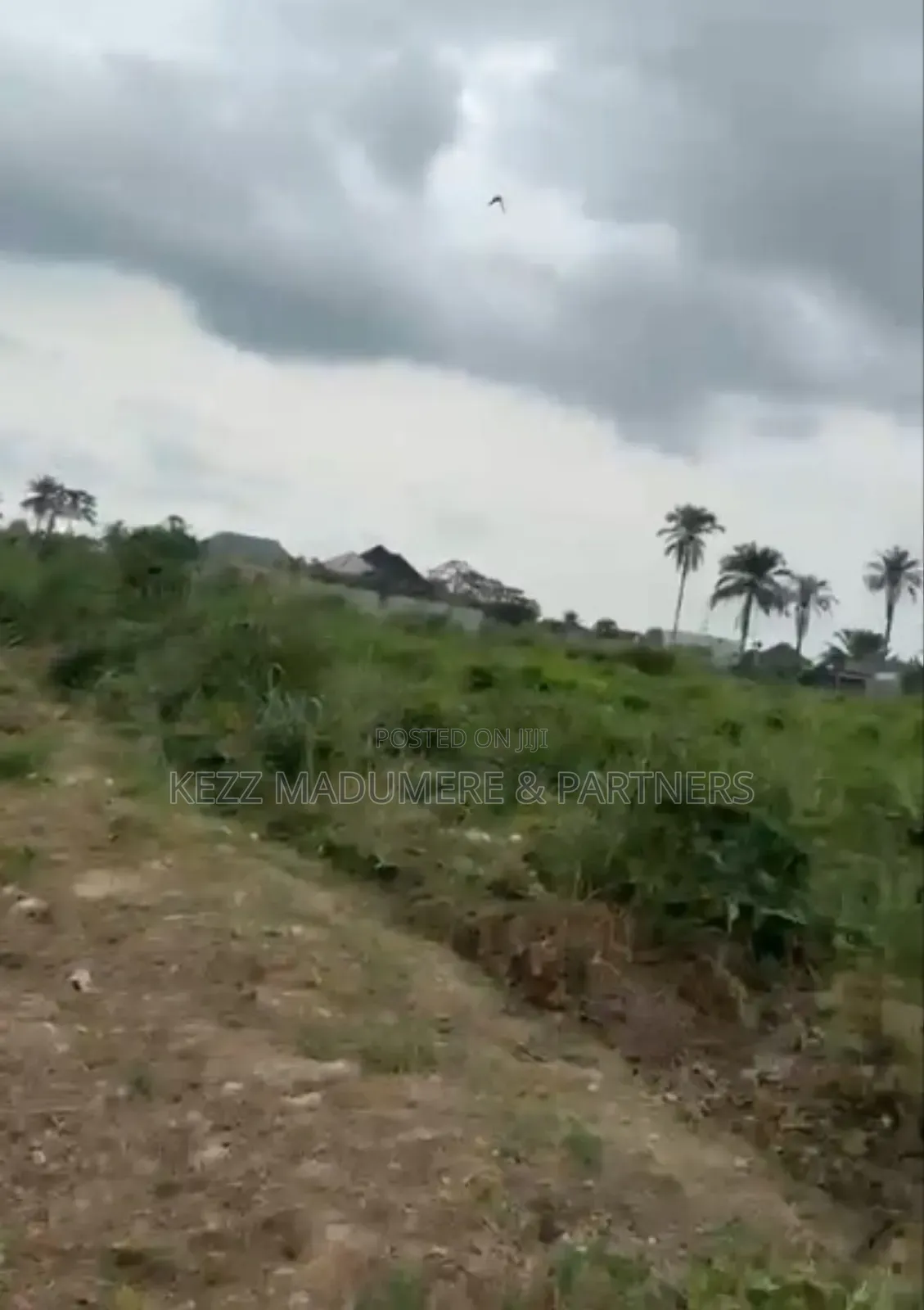 For Sale: 2 Plots at Sunrise Estate, Rumuekini ,Ph