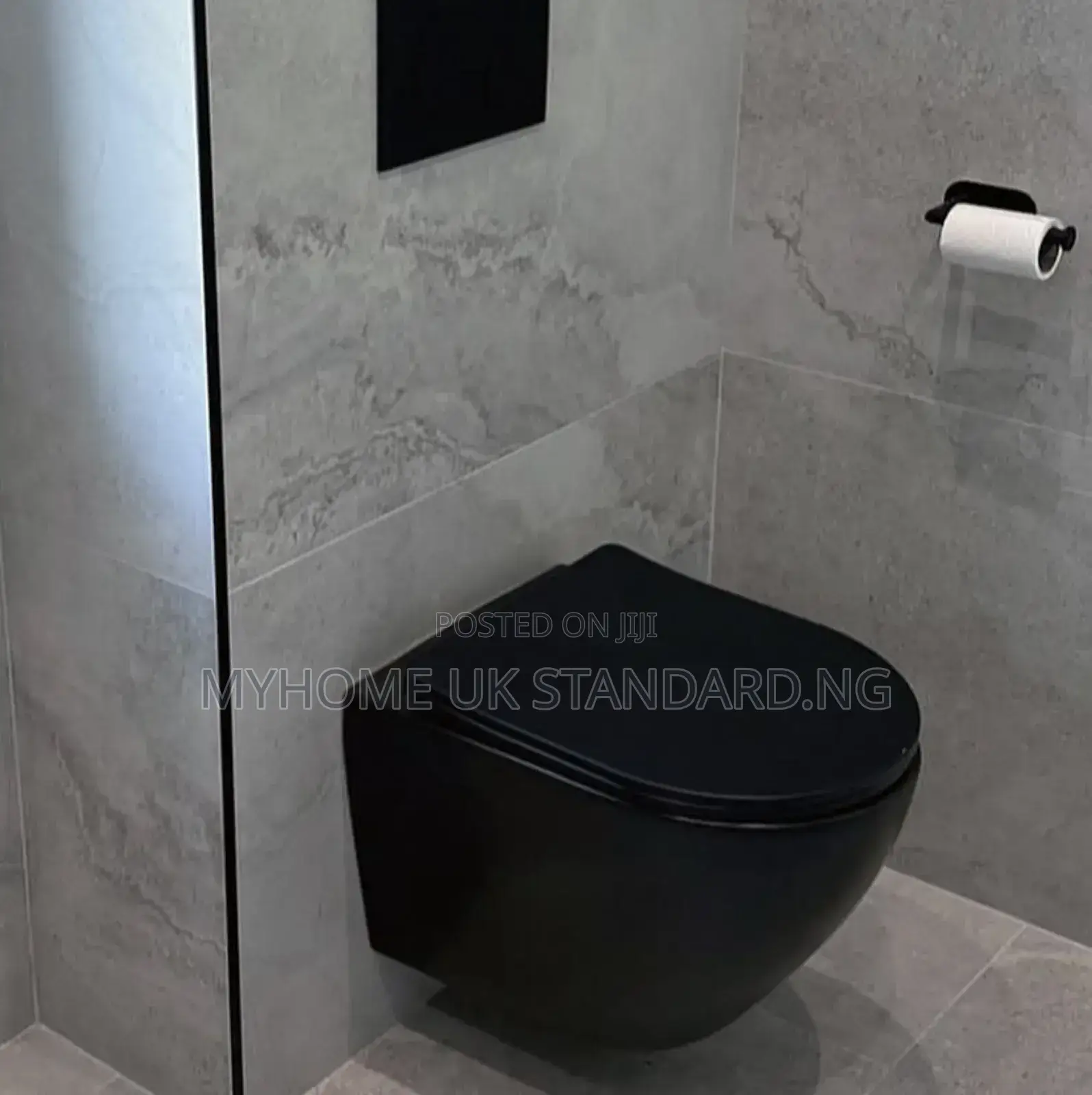 Concealed Toilet Seat Set