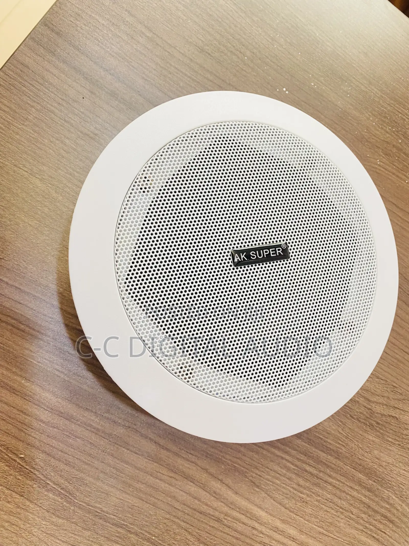 Ceiling Speakers