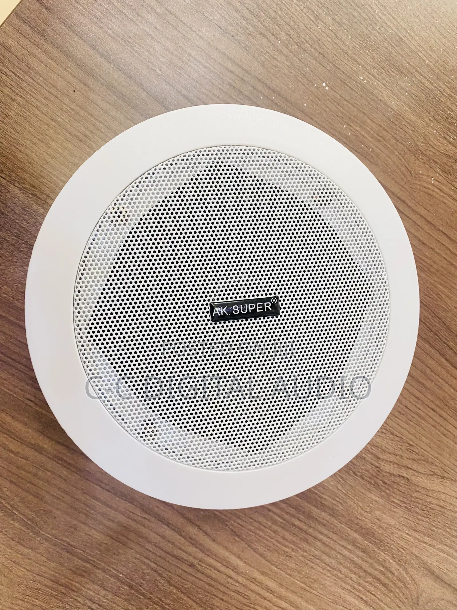 Ceiling Speakers