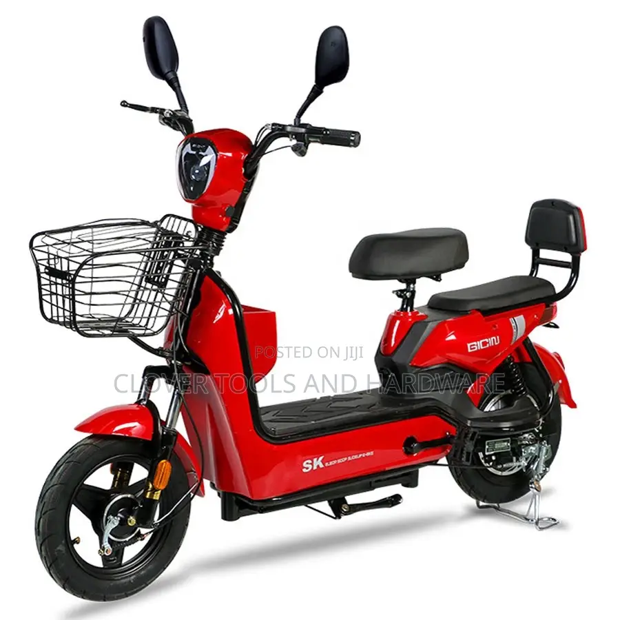 Electric Bike / E Bike