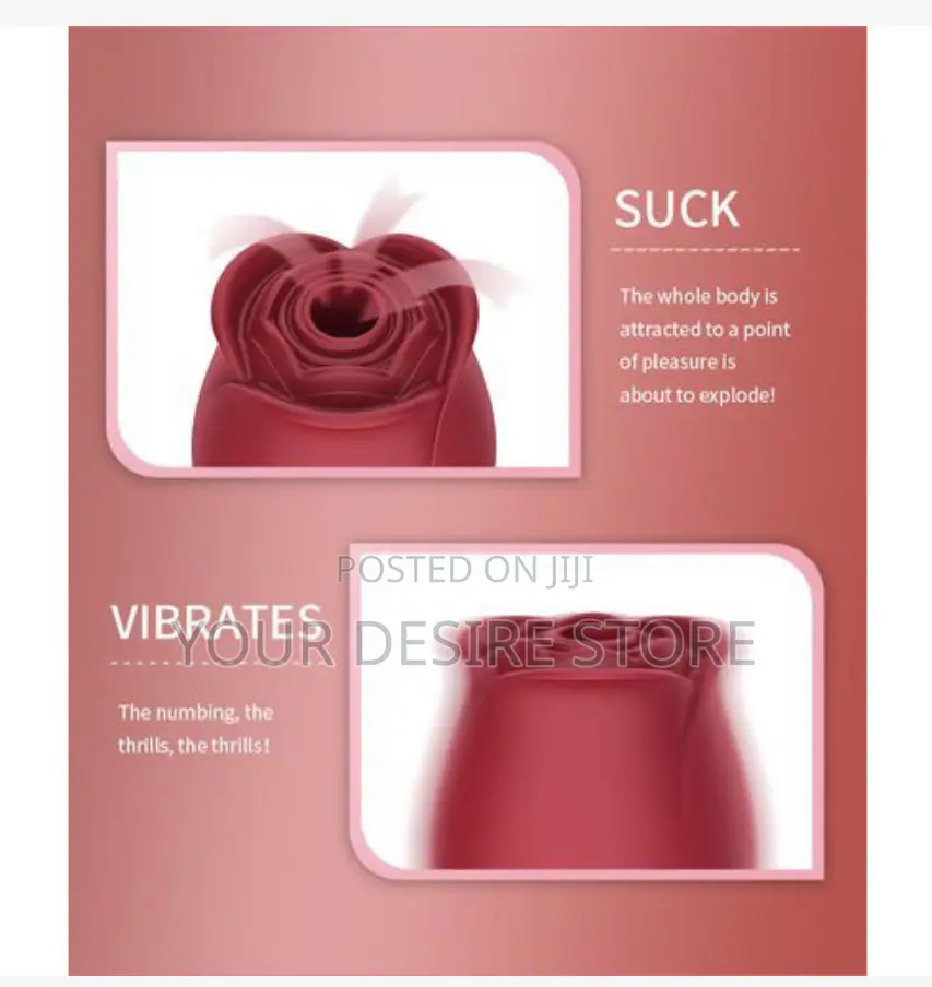 Usb Rose Vibrator Vagina Clitoris Sucker