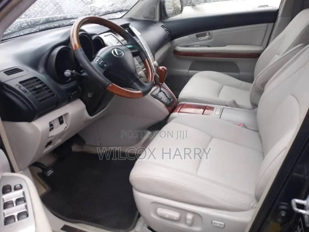 Lexus RX 330 2004 Gray