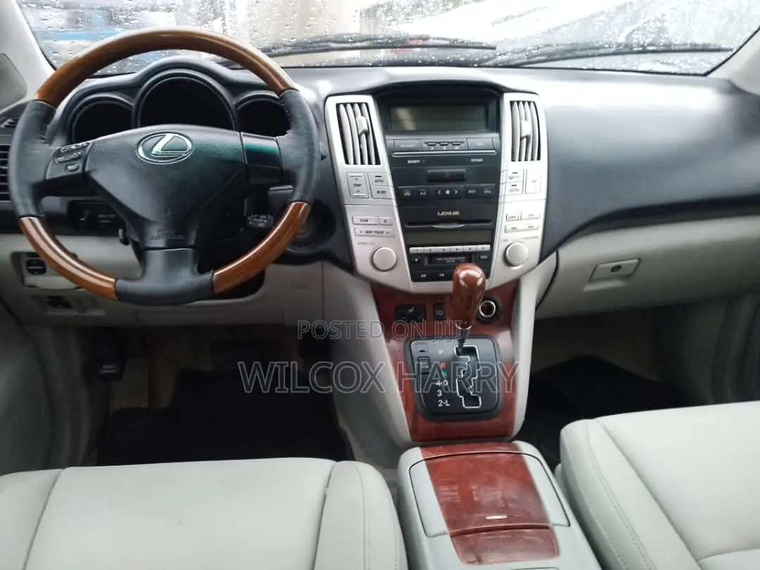 Lexus RX 330 2004 Gray