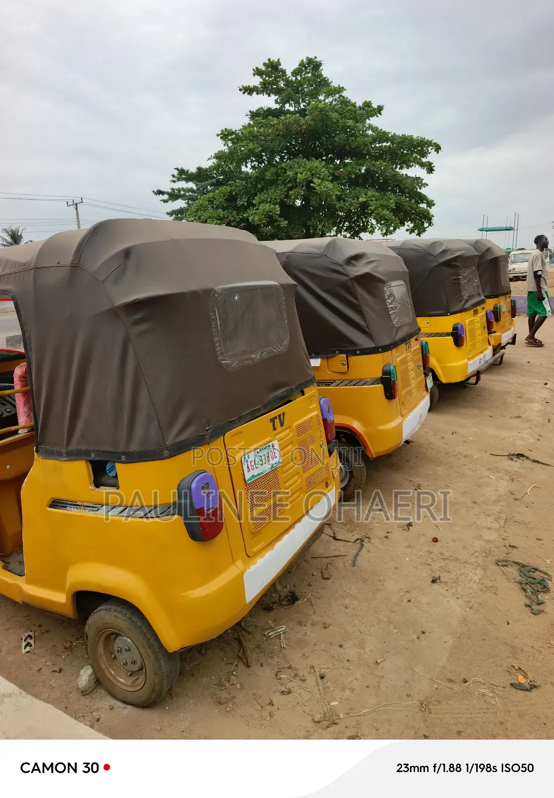 Tricycle 2022 Gold