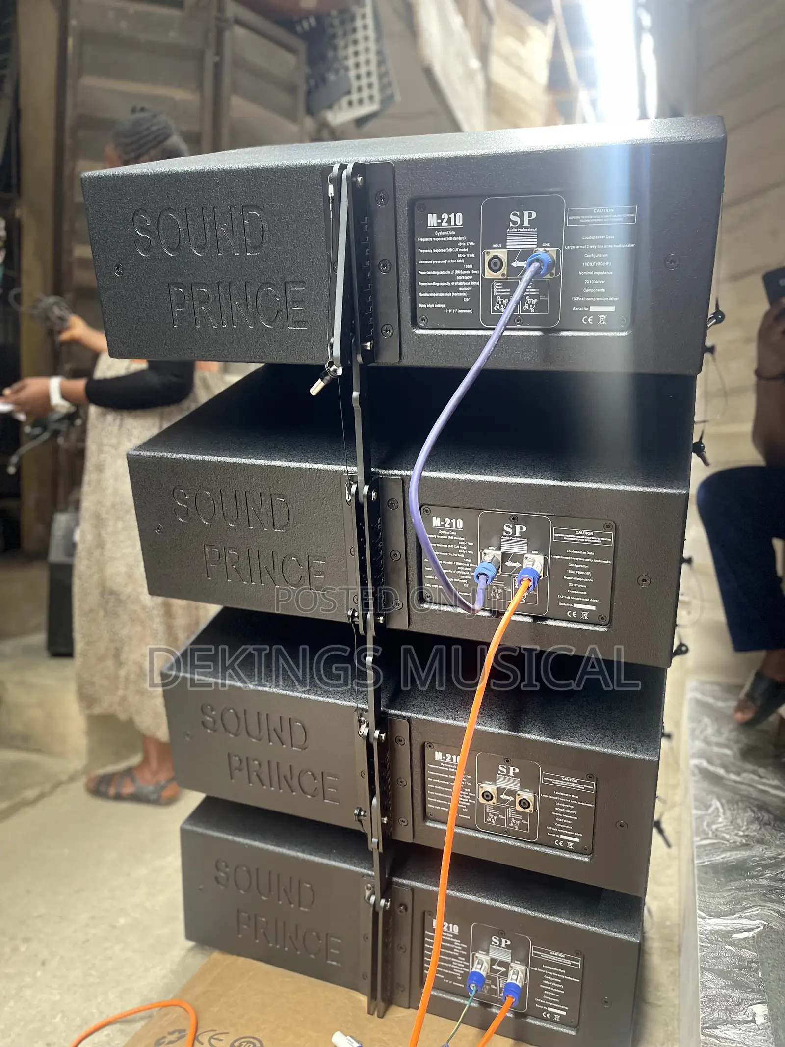 Sound Prince M-10 2x10 Line Array System Passive Speaker
