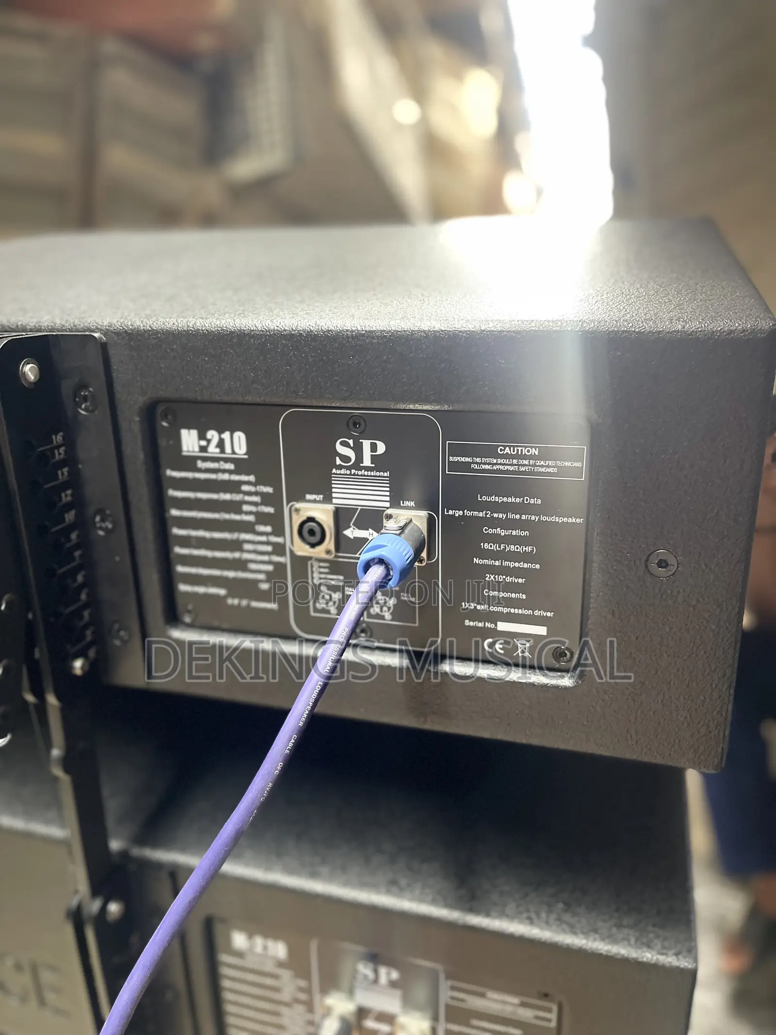 Sound Prince M-10 2x10 Line Array System Passive Speaker