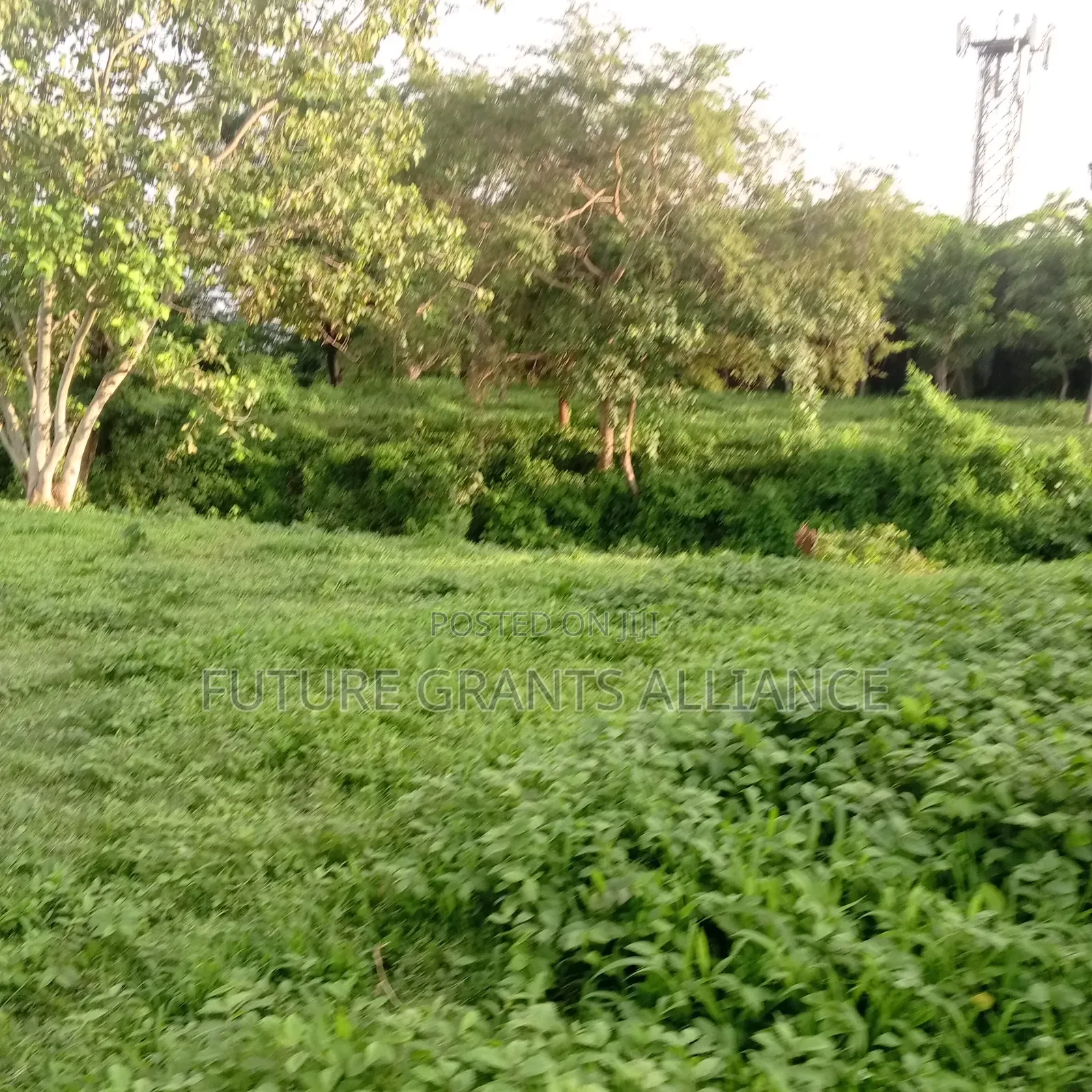 1000sqm of Land