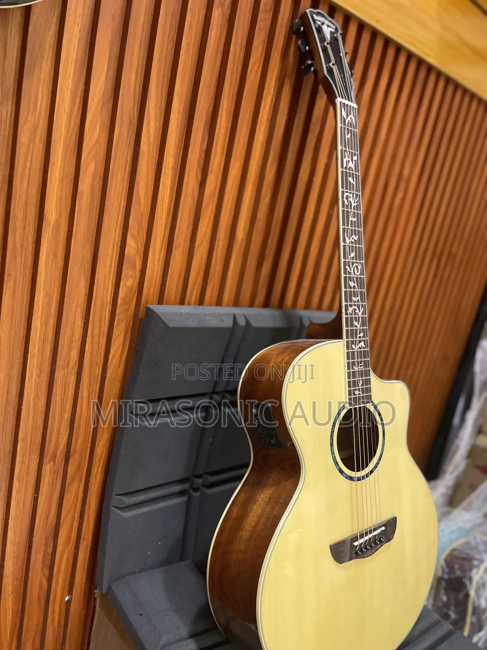 Bullfighter Semi Acoustic Guitar