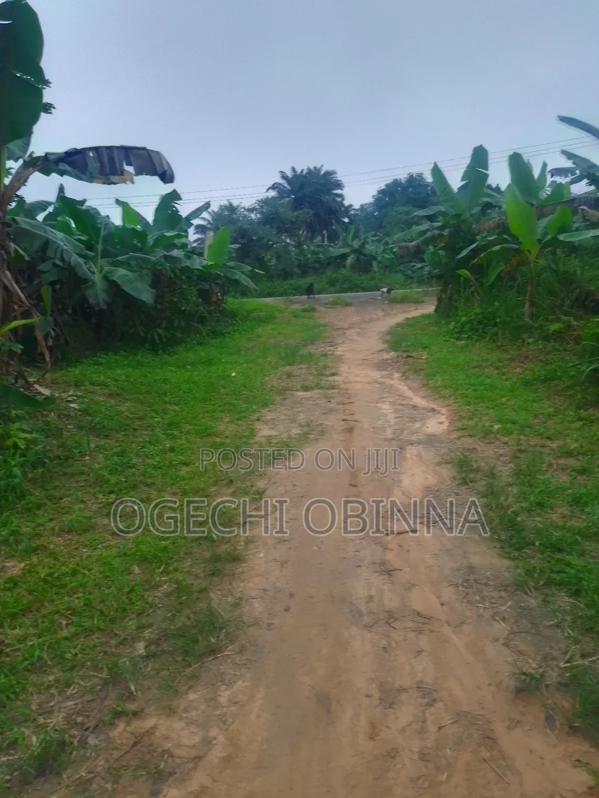 Distress Buy and Pack in Genuine 4 Plots for Sale