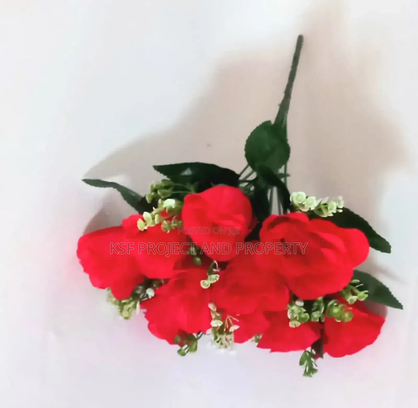 Red Roses Flowers
