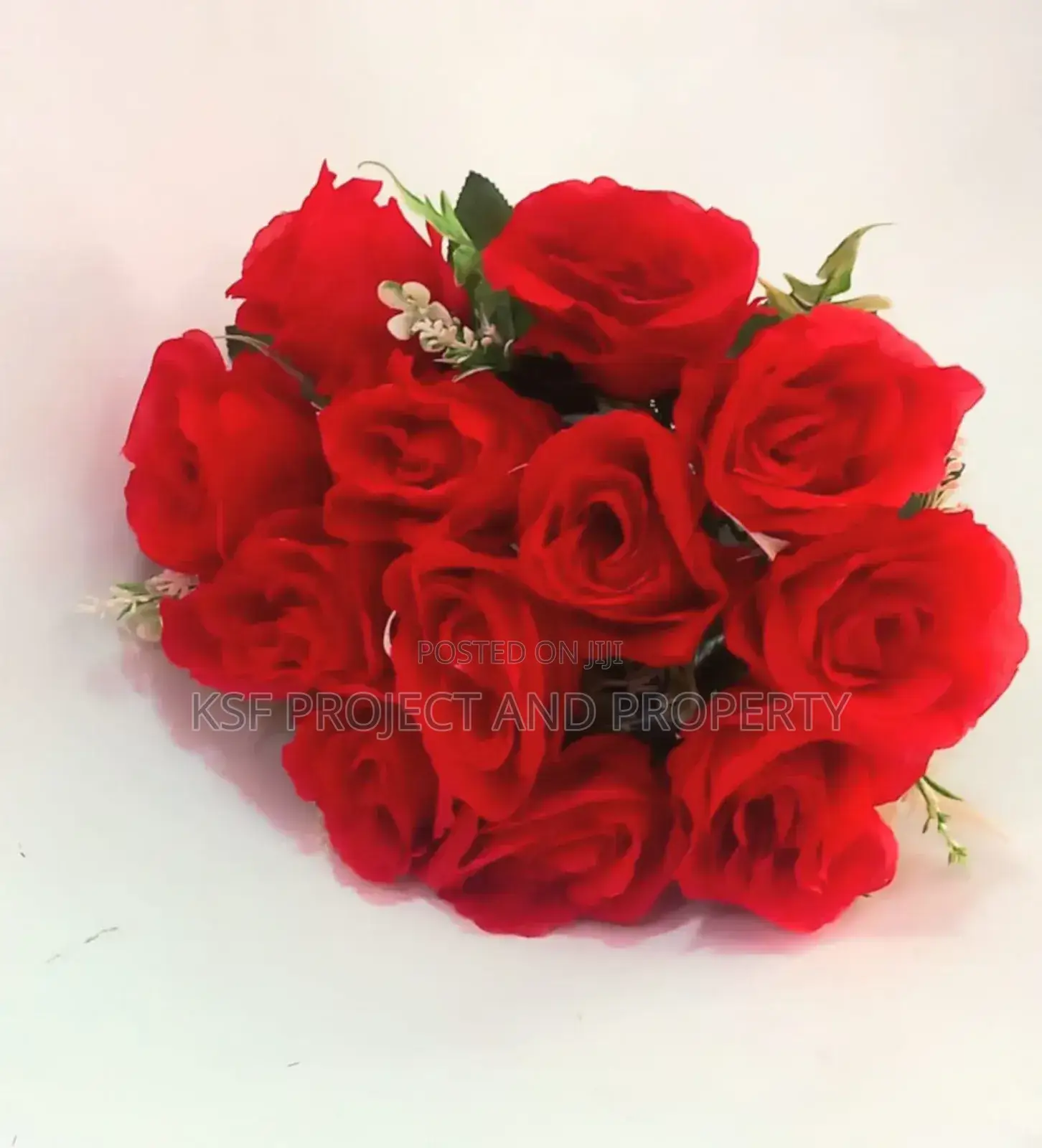 Red Roses Flowers