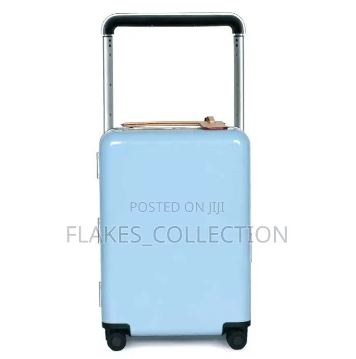 Beautiful Hand Luggage