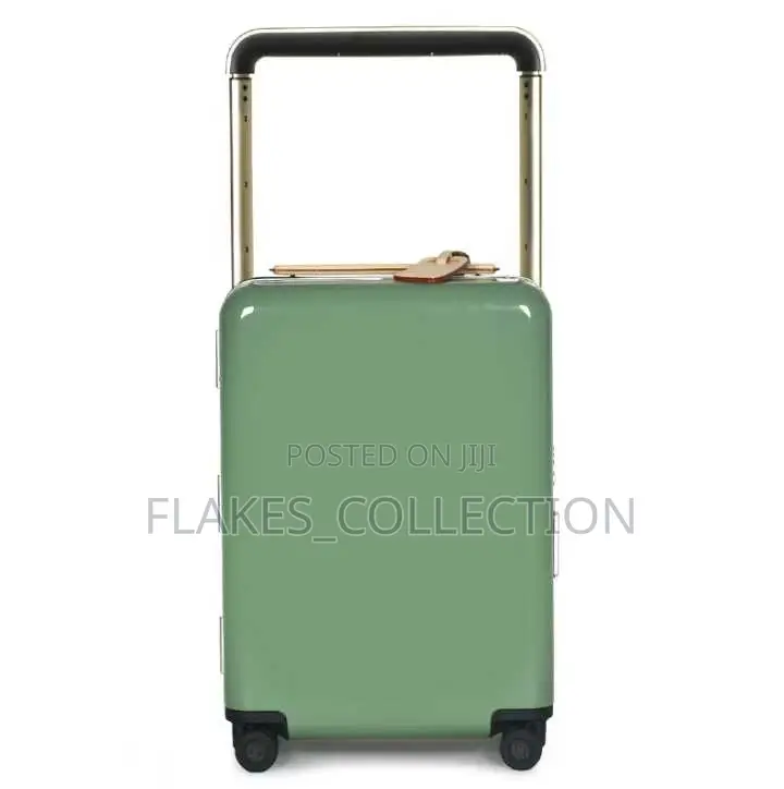 Beautiful Hand Luggage