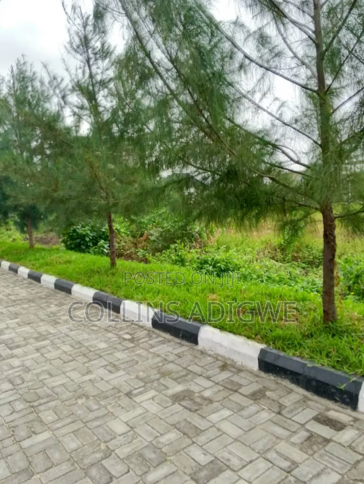 600sqm Genesis Court