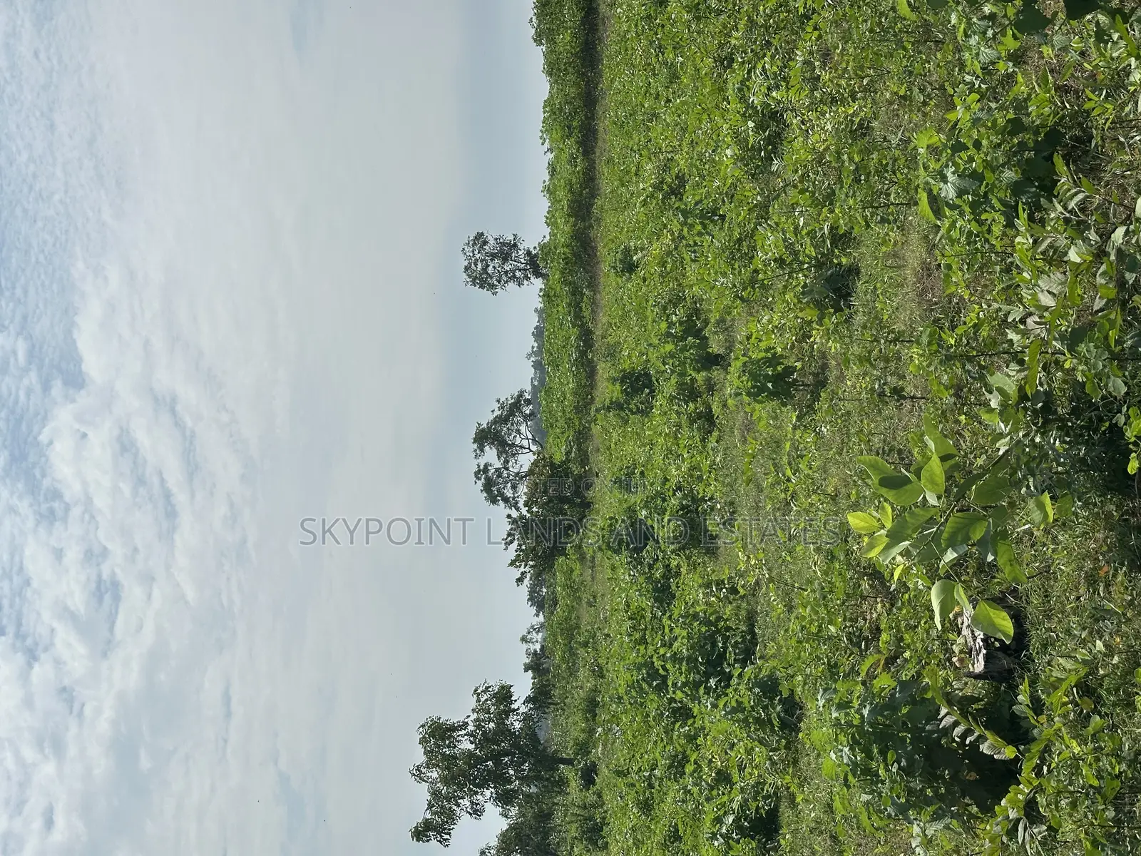 400 Acres Available at Okaka, Itesiwaju Local Government