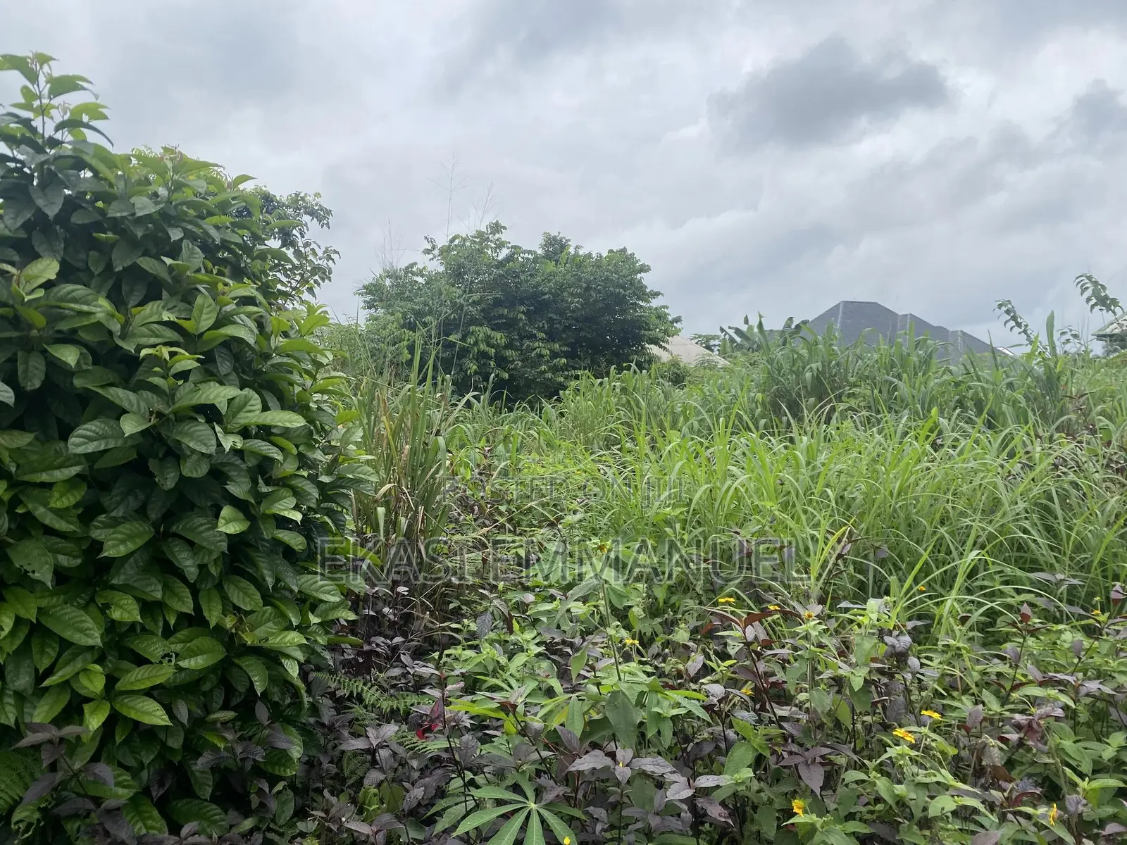 One Plot of Land for Sale