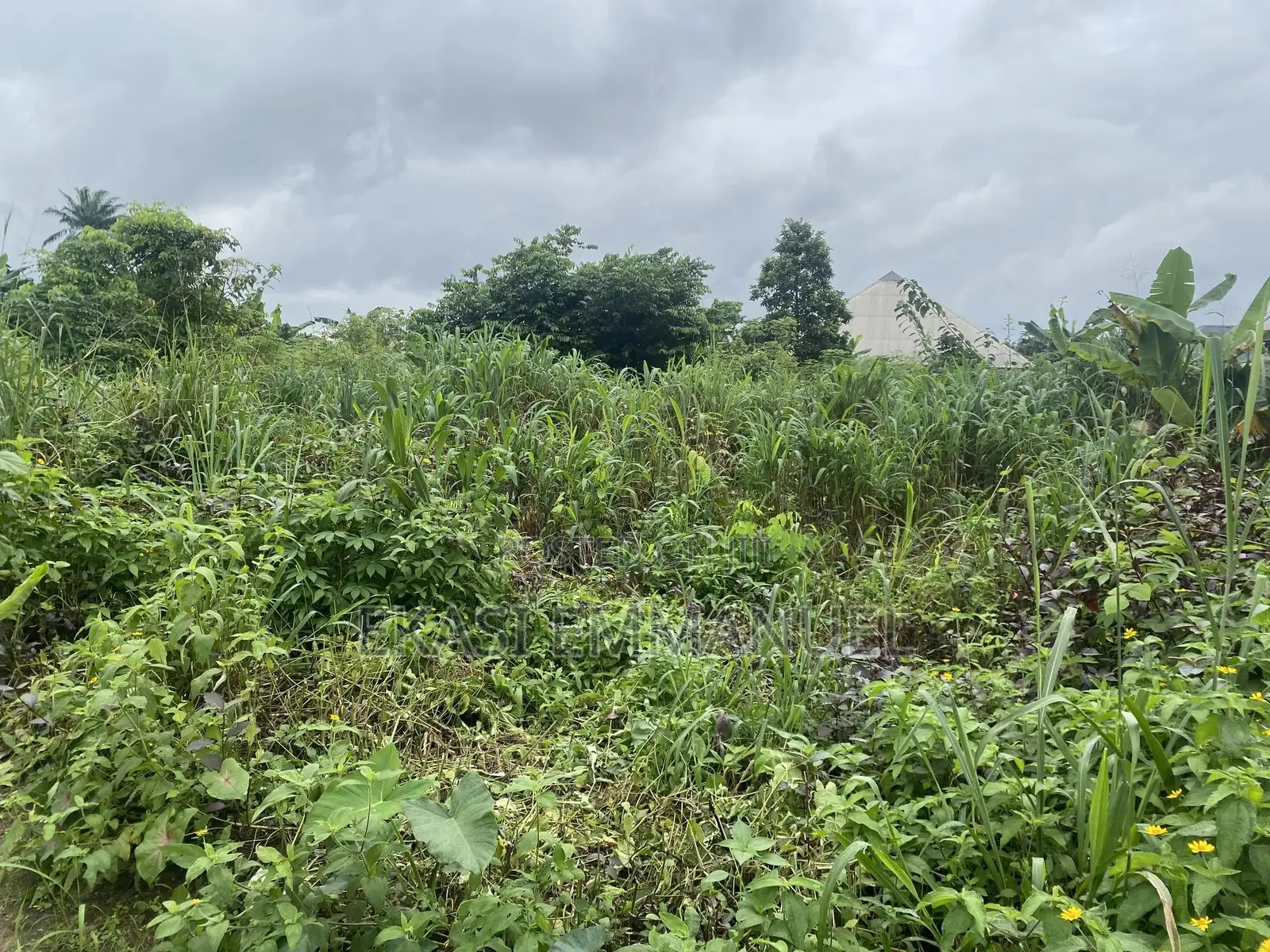 One Plot of Land for Sale