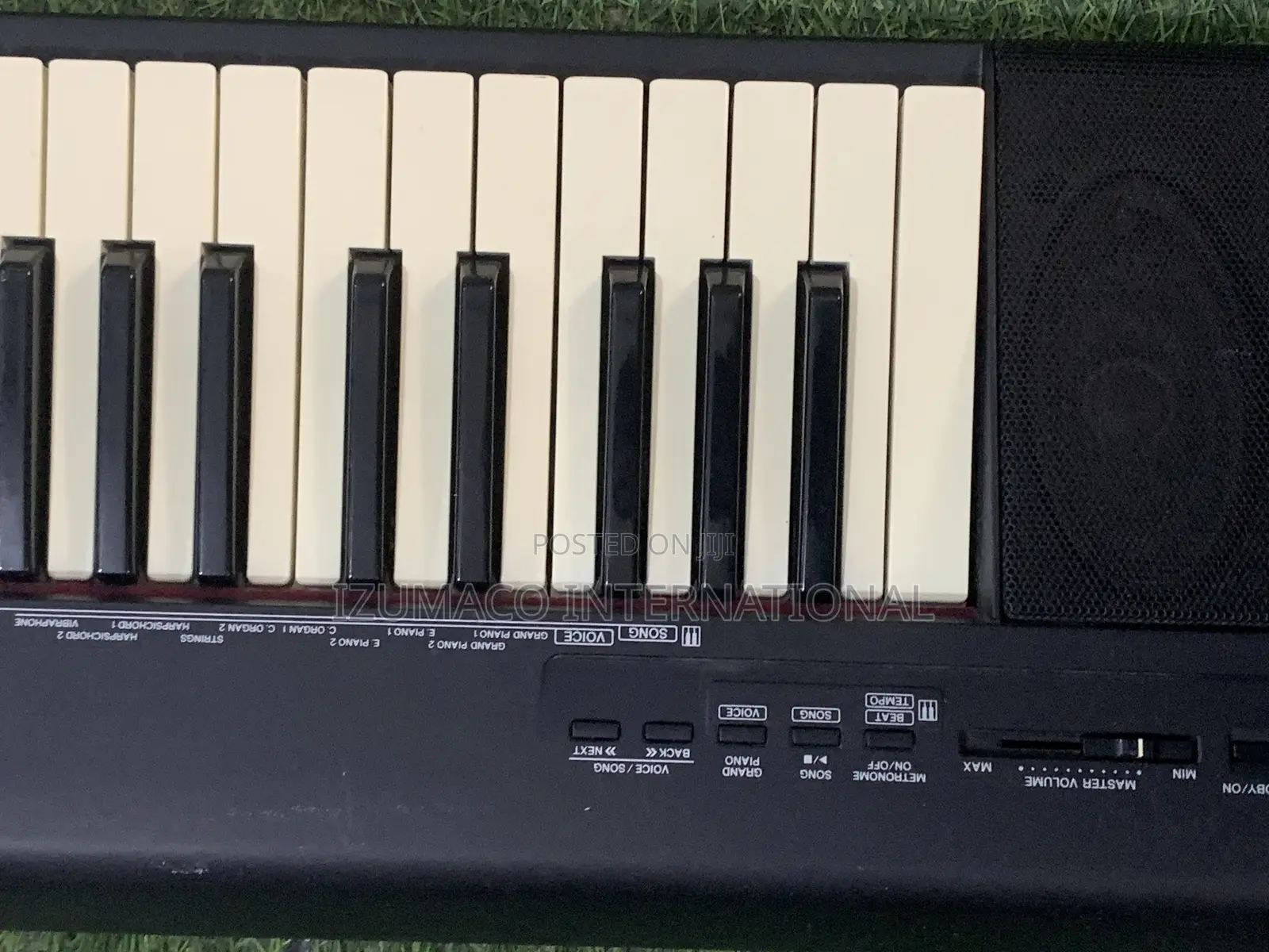 Yamaha Np30 With 76-Key Portable Grand