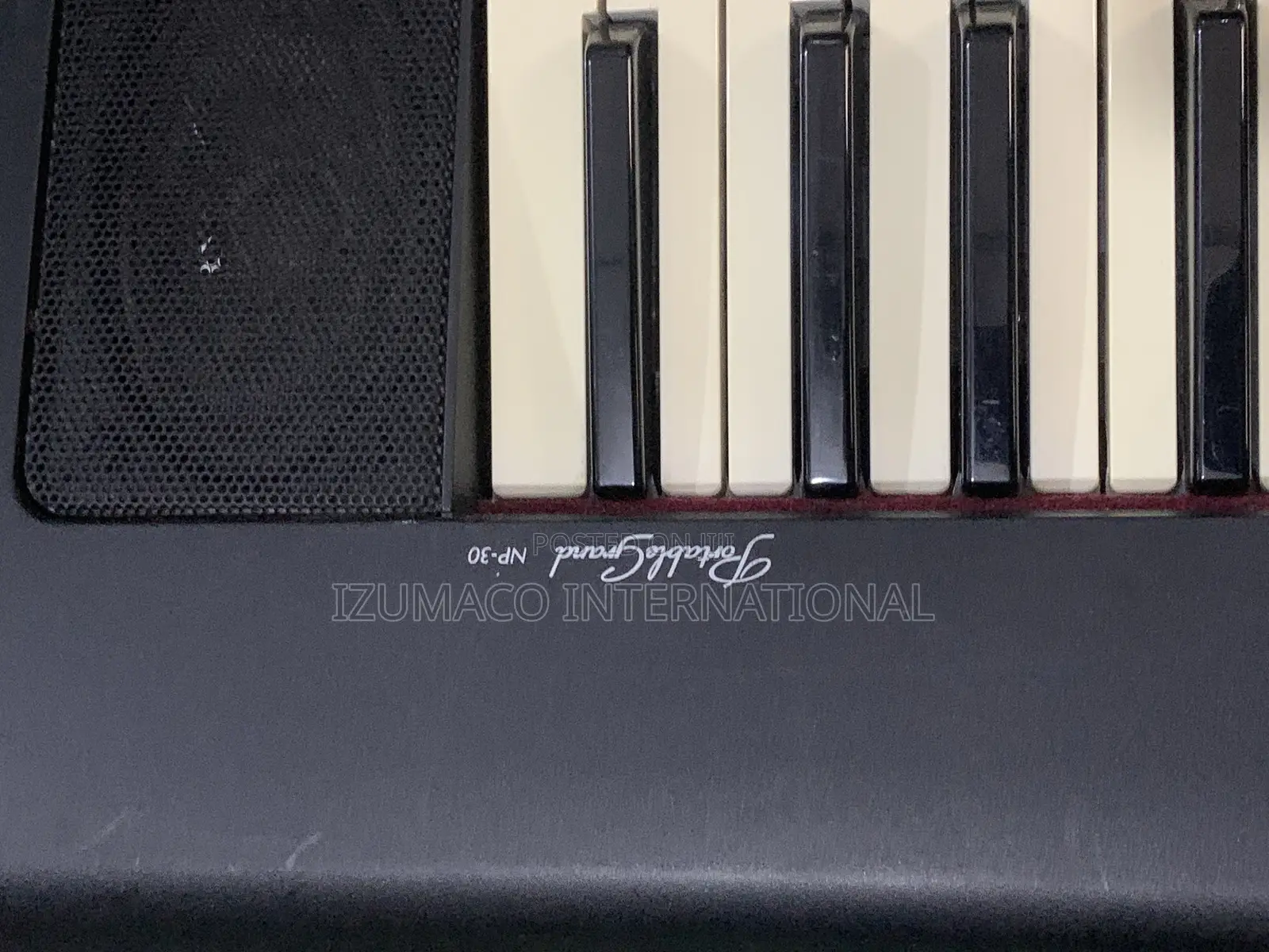 Yamaha Np30 With 76-Key Portable Grand